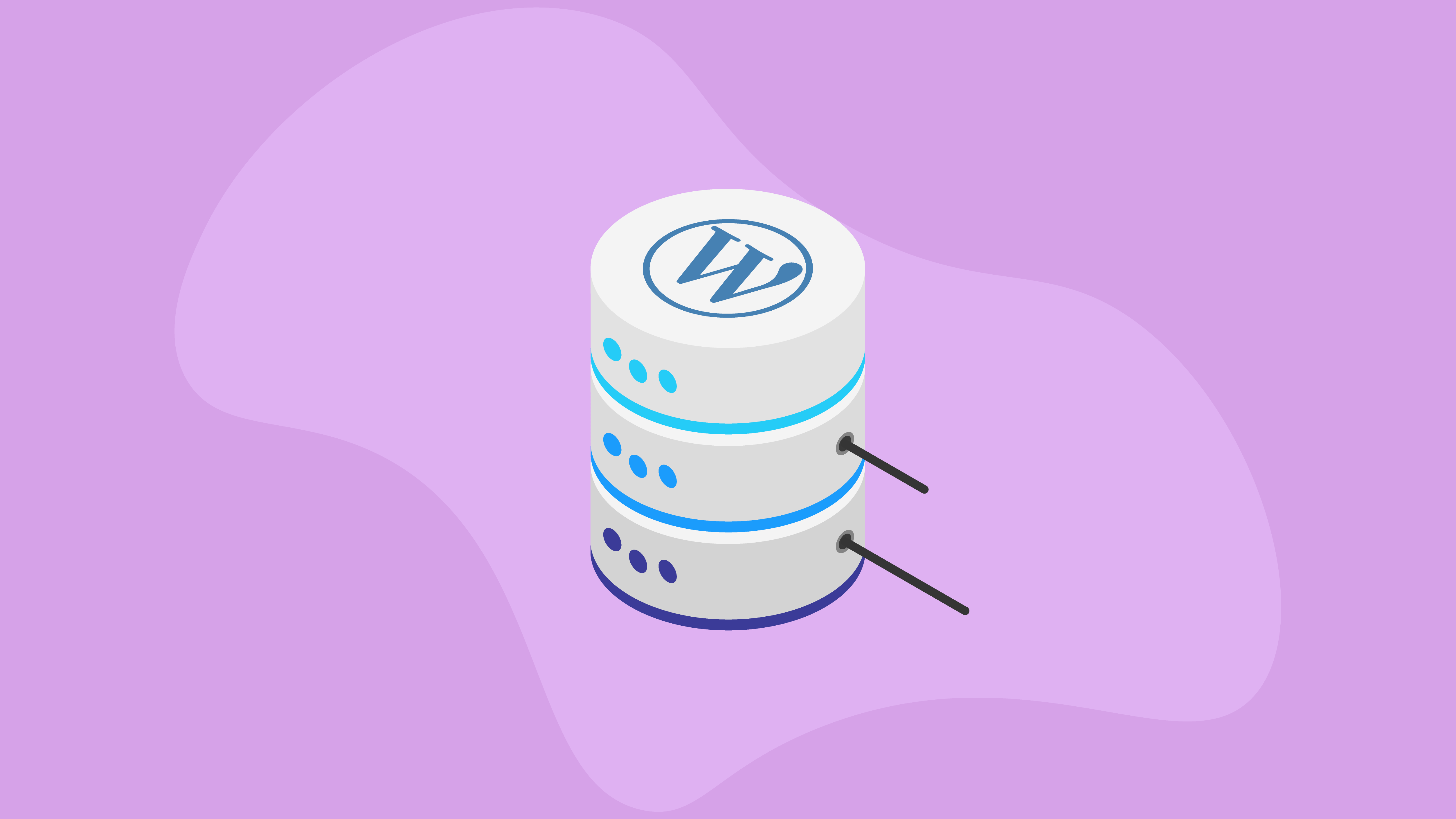 WordPress 分布式数据库 WordPress Database