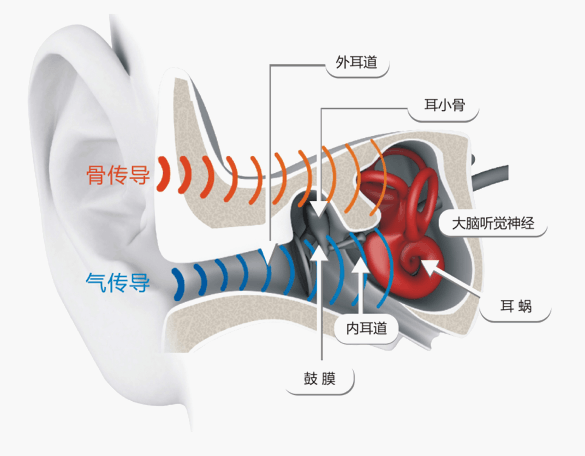 骨传导与气传导工作原理