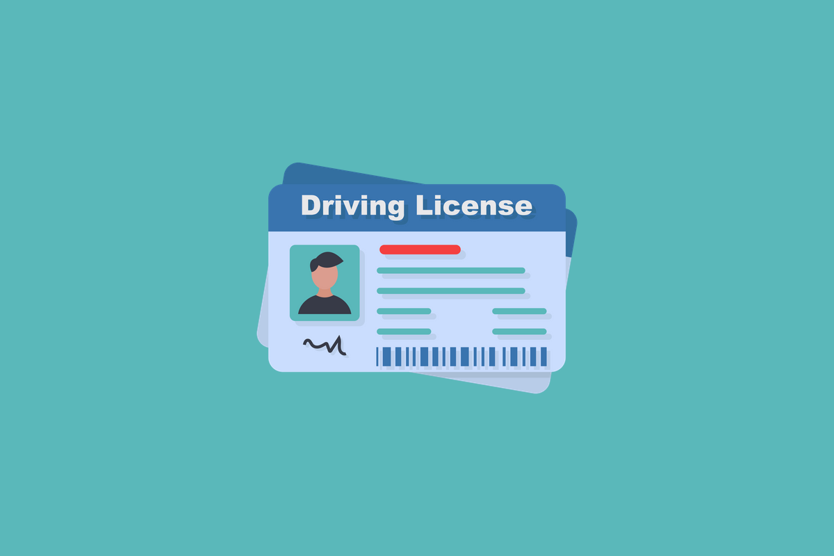 驾驶证 driver licenses