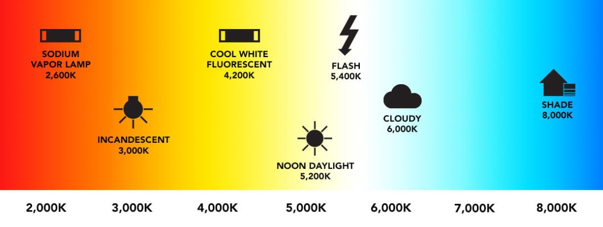 white balance chart