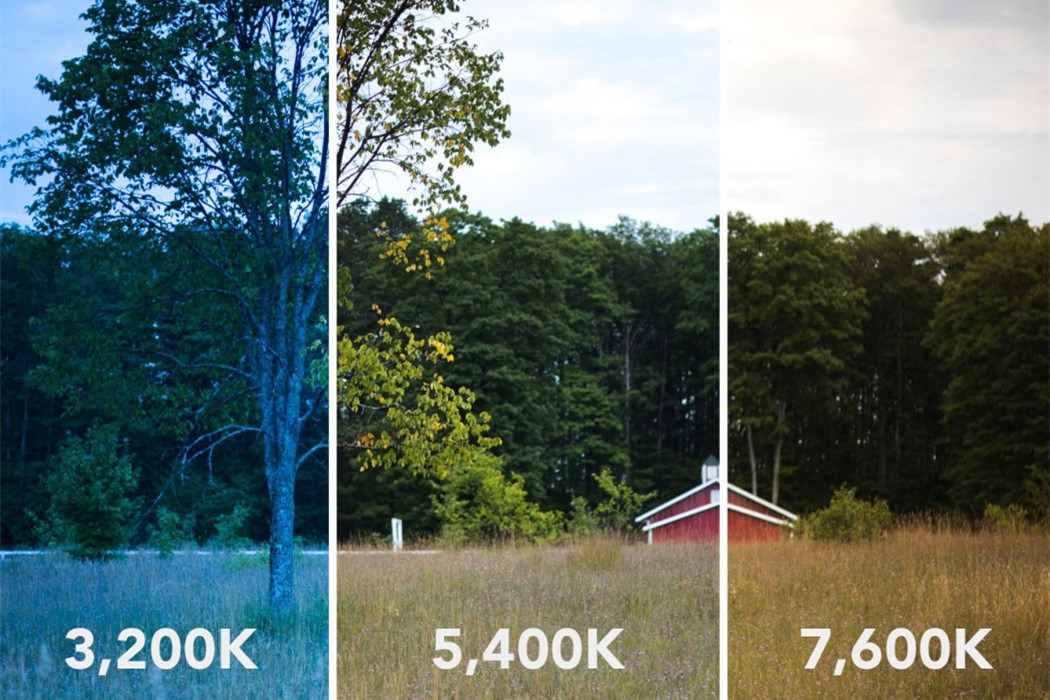 white balance comparison