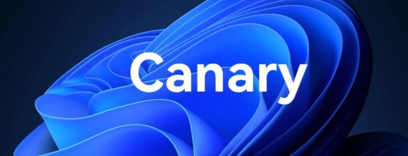 Win11 27749 Canary 预览版更新发布(附更新修复介绍)