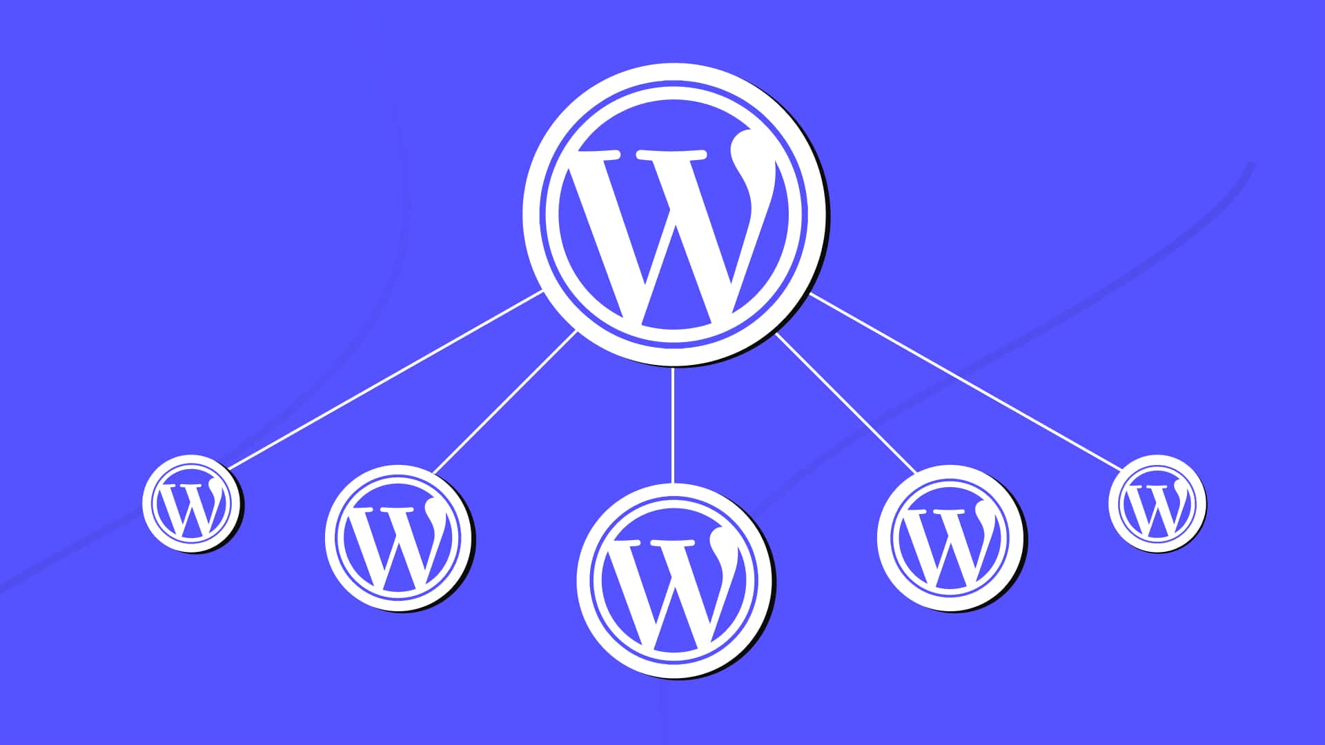 WordPress Multisite