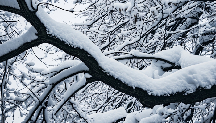 冷空气持续影响长江以北地区 山东半岛或现冷流雪局地有暴雪