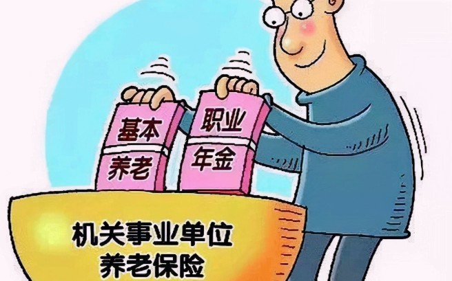 职业年金