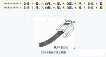 网线接头顺序是什么