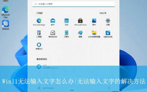 Win11无法输入文字怎么办? Win11输入法禁用的解决办法