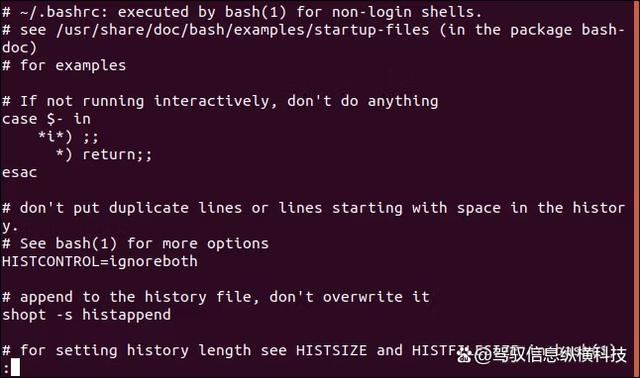 探索Linux的强大文本编辑器: 关于vi编辑器看这篇文章就够了