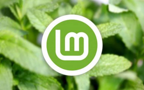 LinuxMint怎么安装? Linux Mint22下载安装图文教程