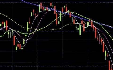 新手怎么看懂股票，掌握这10点要素轻松看懂股票