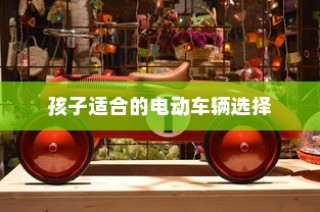 全方位考量，为孩子挑选适合的电动车辆指南