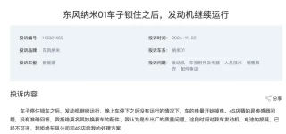 东风纳米06开年表现引关注，边缘品牌能否逆袭成市场新宠？