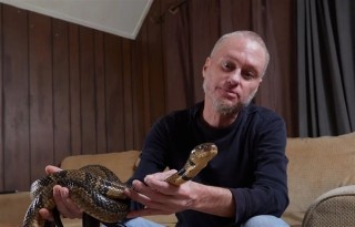 男子毒蛇咬伤逾两百次获超级免疫力，奇迹般的免疫进化故事
