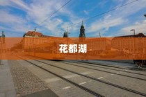电车转速表的重要性及其原因与意义的深度探讨
