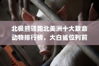 北极熊与大白鲨领跑北美洲十大致命动物排行榜