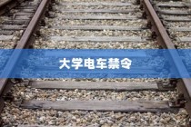 特定大学电车禁令，理解与探讨的视角分析
