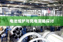 电动汽车充电策略解析，电量低于30%时的充电决策与电池维护探讨