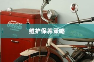 骑电车前往高陵，现实选择及可行性探究