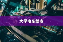 特定大学电车禁令，理解与探讨的视角分析