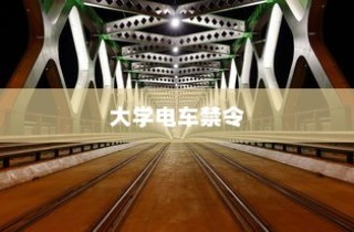 特定大学电车禁令，理解与探讨的视角分析