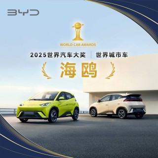 海狮07EV车主赵心童夺冠，胜利背后的故事揭秘