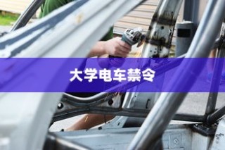 特定大学电车禁令，理解与探讨的视角分析