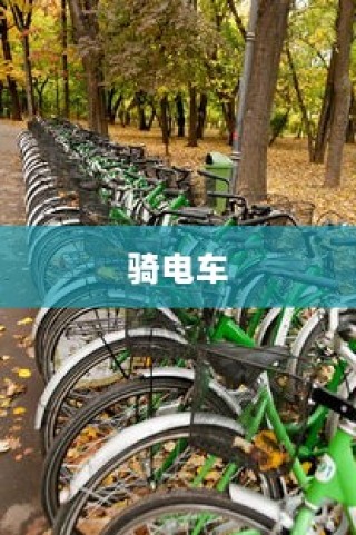 骑电车前往高陵，现实选择及可行性探究