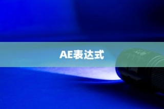 AE中常用的表达式及其使用方法详解