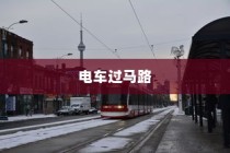 电车过马路是否需要礼让？探讨行车安全与人道主义精神的重要性