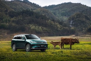 五一购车攻略，揭秘问界新M7限时权益深度解析与价值所在
