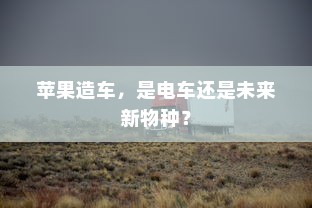 汉口共享电车的发展与现状概述