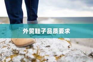 外贸鞋子品质要求深度探究与解析