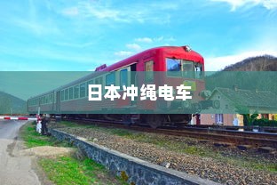 电车车型模式概览，多样选择，总有一款适合你