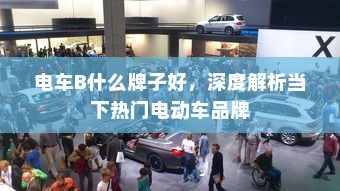 斯里兰卡购买电车是否划算，深度分析与综合考量探讨