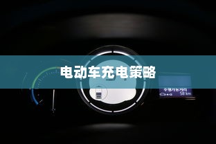 电动车充电策略解析，隔天充电的灵活性与潜在影响探讨