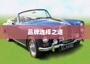 电车时代下的品牌选择之道