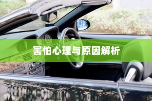 南宁电动车上牌详解，所需材料与流程全攻略