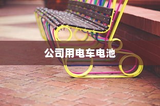 公司用电车电池选择指南大全