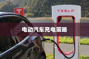 电动汽车充电策略解析，电量低于30%是否需要充电？电池维护与充电策略探讨。