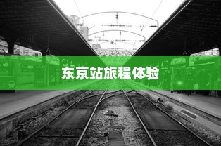 电车之旅，探寻东京站的旅程时间与风情体验