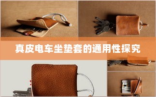 真皮电车坐垫套的通用性探究