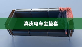 真皮电车坐垫套的通用性探究