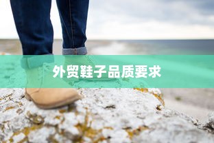 外贸鞋子品质要求深度探究与解析