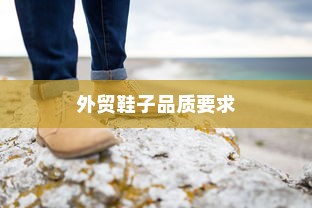 外贸鞋子品质要求深度探究与解析