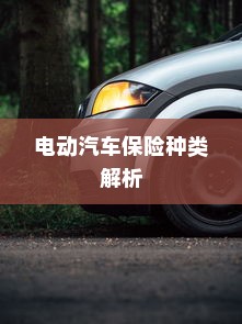 电动汽车保险种类解析与全险购买指南