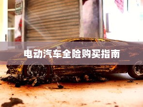 电动汽车保险种类解析与全险购买指南