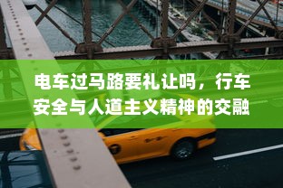 电车过马路要礼让吗，行车安全与人道主义精神的交融