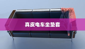真皮电车坐垫套的通用性探究