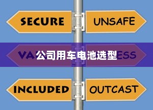 公司用车电池选型指南，如何选择最适合您的电池？