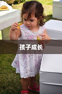 孩子成长后的电车选择，适用性探讨